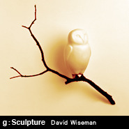 g: Sculpture 나뭇가지에 관한 단상